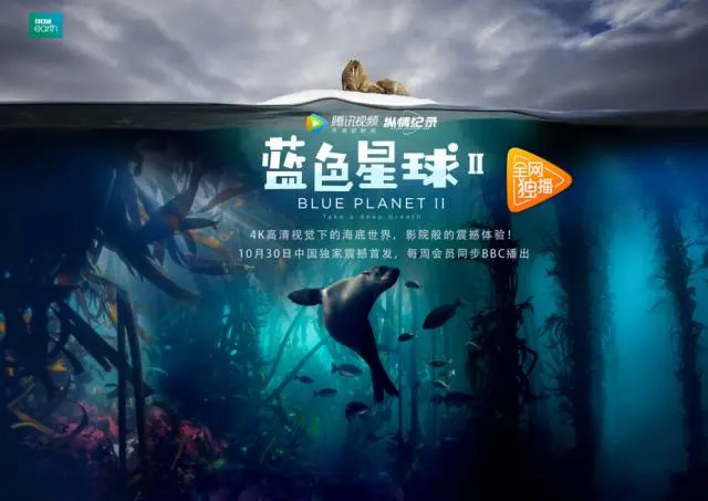 海角社区在线官网剧照2